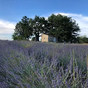 Cabanon Du Berger Lodge